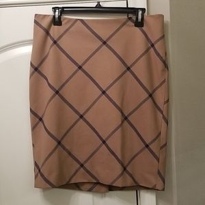 THE LIMITED | Skirt | 4066